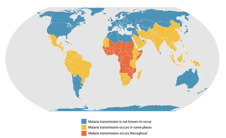 A map showing an approximation of the parts of the world where malaria transmission occurs