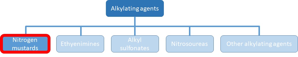 https://pharmacologyeducation.org/wp-content/uploads/2025/10/Alkylating_agents_figure.jpg