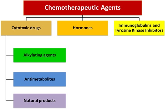 https://pharmacologyeducation.org/wp-content/uploads/2025/10/Chemotherapeutics.jpg