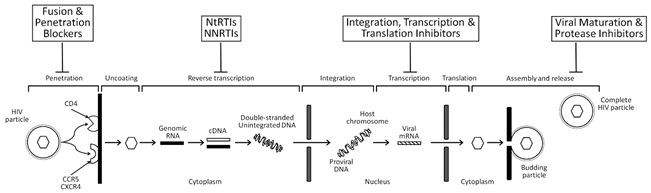 https://pharmacologyeducation.org/wp-content/uploads/2025/10/HIV_drug_mechs.jpg