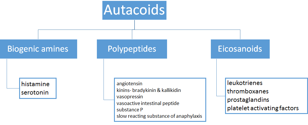 https://pharmacologyeducation.org/wp-content/uploads/2025/10/autacoids.png