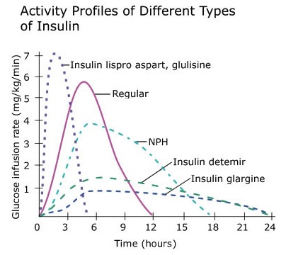 https://pharmacologyeducation.org/wp-content/uploads/2025/10/insulin_analogs_graph_2.jpg